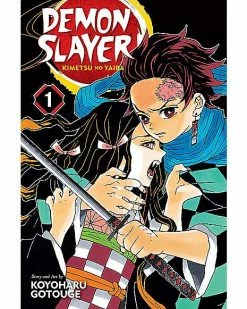 Budget 🌟 Demon Slayer: Kimetsu no Yaiba Volume 1 🤩